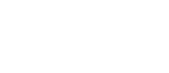 Signum Capital - aelf's investor.