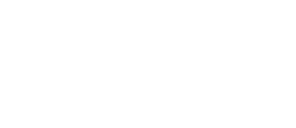 Blockchain Ventures - aelf's investor.