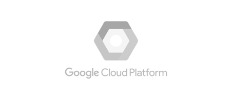 Google Cloud Platform - aelf's technological partner.